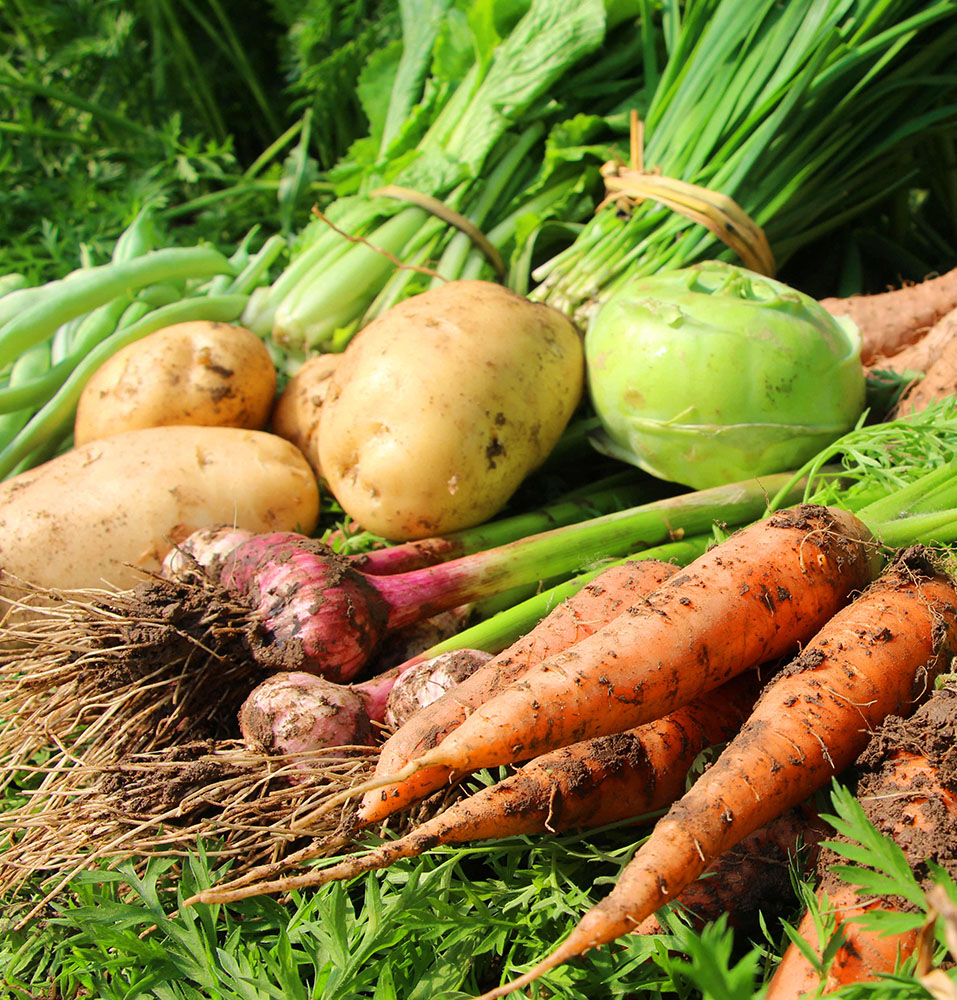 獸藥與農(nóng)業(yè)